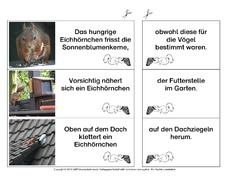 Eichhörnchen-Satzteile-verbinden-einfach 10.pdf